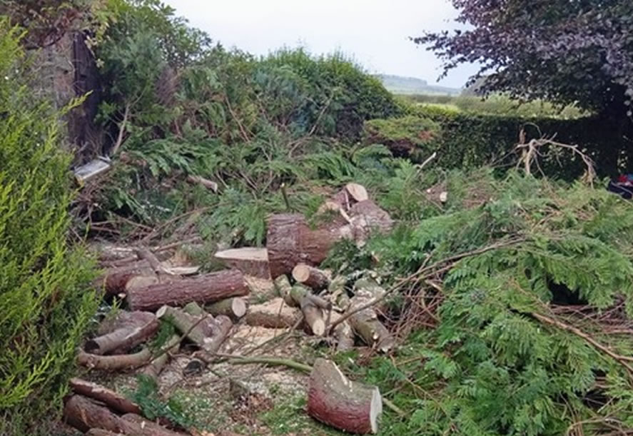 Garden clearance and waste removal from ALC Services (Scotland)